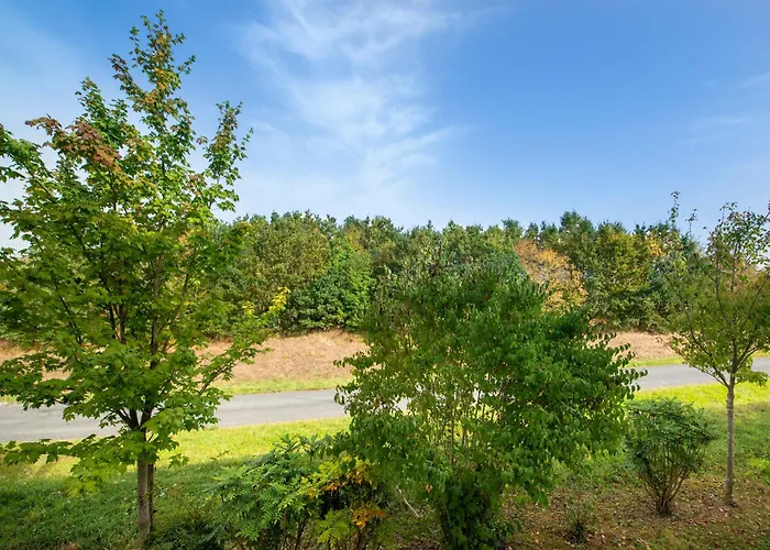 B&B Hotel Cholet Nord 2* Cholet